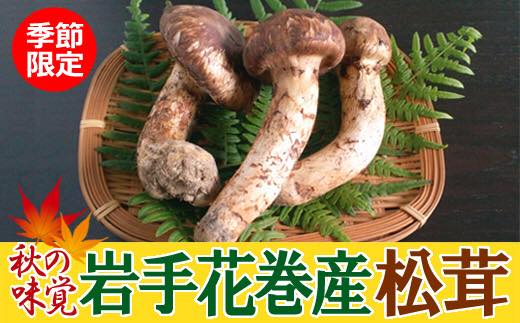 岩手 松茸 天然松茸 10月15日採取 - 野菜