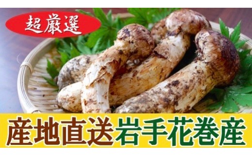 岩手・花巻産 プレミアム天然高級松茸（つぼみ～中椀）約180g《季節