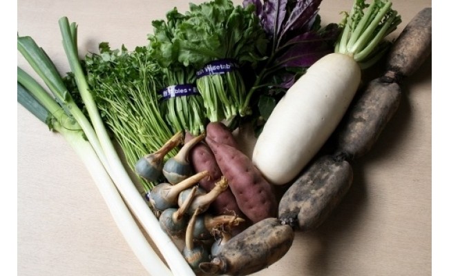 加賀野菜セット 石川県金沢市 ふるさと納税 ふるさとチョイス