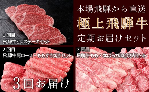 定期便３回】本場！飛騨直送！！極上飛騨牛セット 【冷凍】焼肉