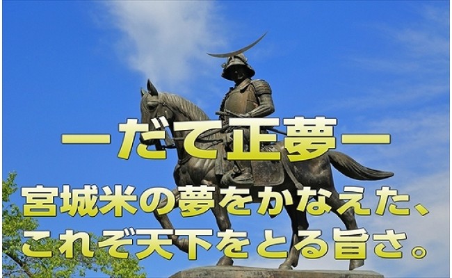 令和元年産 宮城県栗原産 だて正夢 5kg 宮城県栗原市 ふるさと納税 ふるさとチョイス