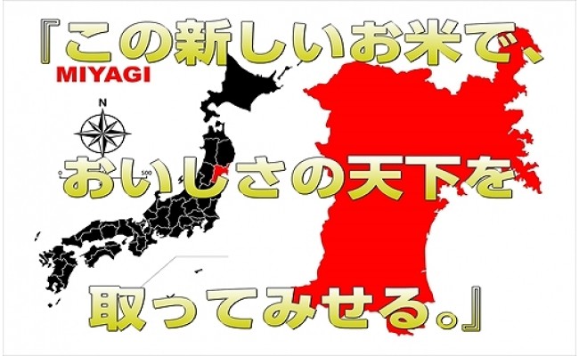 令和元年産 宮城県栗原産 だて正夢 5kg 宮城県栗原市 ふるさと納税 ふるさとチョイス