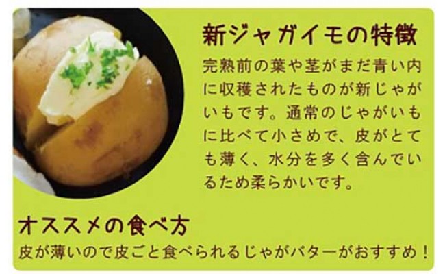 最新のhd 青い じゃがいも 食べ方 Minecraftの最高のアイデア