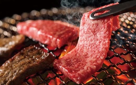 なかやま牧場 ギフトセット:神石牛ロース焼肉用+高原黒牛ロース焼肉用