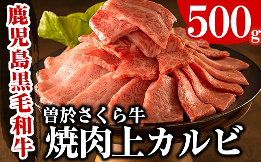 曽於さくら牛焼肉ギフト(上カルビ500g) 黒毛和牛 上カルビ 焼き肉