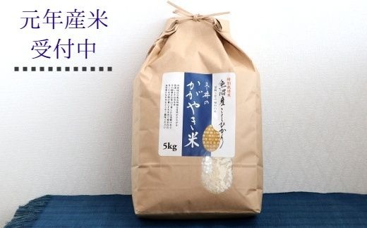 冬井のかがやき米
