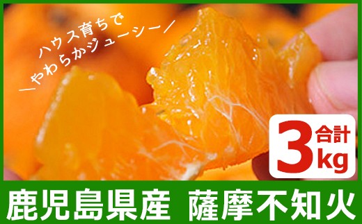 サンプル写真