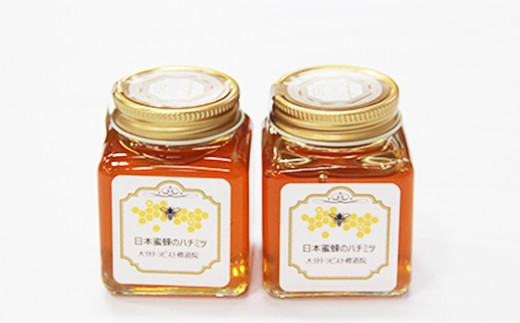激安特価 ふるさと納税 大分トラピスト修道院 日本蜜蜂のハチミツ 100g 2本セット Ac05 Seal限定商品 Ihmc21 Com