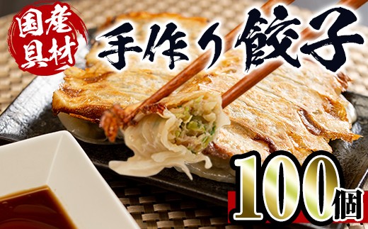 手作り餃子100個セット(10個×10パック)