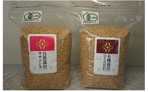 玄米