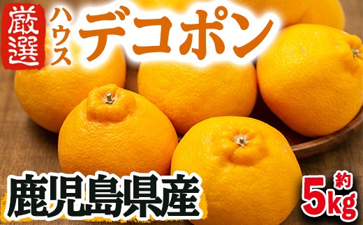 ハウスデコポン【5kg】
