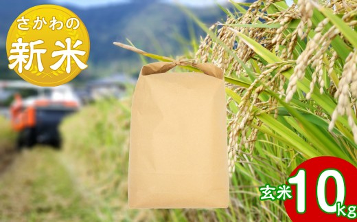 【にこまる】令和元年産さかわの新米10kg(A-71