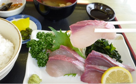 y쌧sz[4631-1794]Ђ܁iuji[w莒܂j  hg