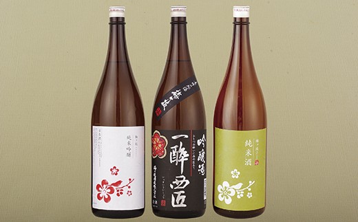 T810 純米吟醸 吟醸酒 純米酒 日本酒一升瓶3本 長崎県佐世保市 ふるさと納税 ふるさとチョイス