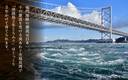 淡路島3年とらふぐてっちりセット 2~3人前