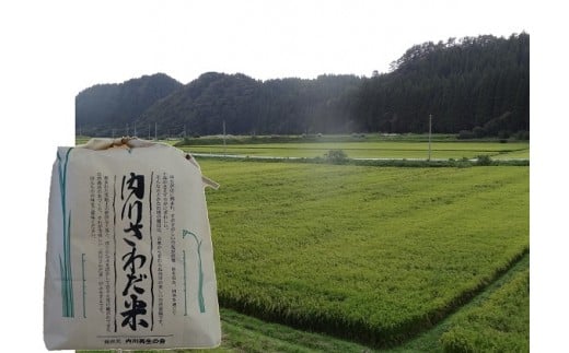 yHc܏ڒz삳킾āi܂āj5kg Hc܏ڒY