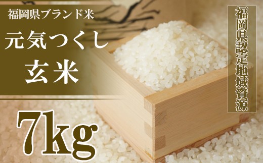 ｔ10 福岡県認定地域資源 元気つくし 7 玄米 新米への移行期間中は発送不可 福岡県川崎町 ふるさと納税 ふるさとチョイス