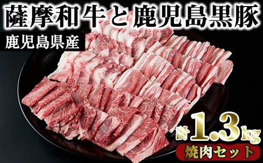 No 423 薩摩和牛と鹿児島黒豚の焼肉セット 合計1 3kg 肩ロース バラ焼肉用500g モモもしくはカタ焼肉用 400g 黒豚バラ焼肉用 400g さつま屋産業 鹿児島県日置市 ふるさと納税 ふるさとチョイス