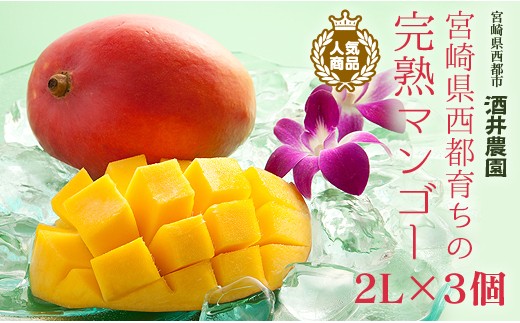酒井農園 】西都産 宮崎完熟マンゴー2L×3個 産生者直送 宮崎マンゴー