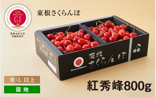 GI「東根さくらんぼ」 2023年産 紅秀峰800gバラ詰め JA園芸部提供 E