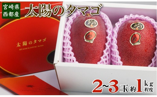 先行予約 最高級ブランド 太陽のタマゴ 西都産完熟マンゴー ｊａ西都 3 18 宮崎県西都市 ふるさと納税 ふるさとチョイス