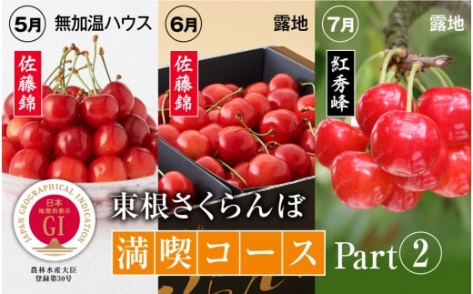 Gi 東根さくらんぼ さくらんぼ満喫コースpart2 21年5月下旬 6月上旬 ハウス栽培さくらんぼからスタート 定期便 E 1508 山形県東根市 ふるさと納税 ふるさとチョイス