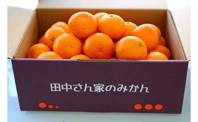 こだわり手詰め 有田みかん（お徳用 4.7kg） - 和歌山県有田川町｜ふるさとチョイス - ふるさと納税サイト