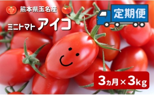 ミニトマト アイコ 【3ヶ月定期便】 | 野菜 やさい トマト とまと みに