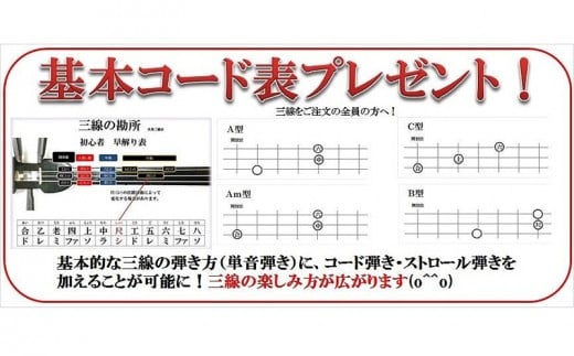 米須三線店 沖縄三線 初心者用12点セット 沖縄県北中城村 ふるさと納税 ふるさとチョイス