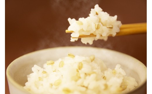 豊富な食物繊維で腸内環境を改善!毎日の大麦ごはんで体の中からキレイに!