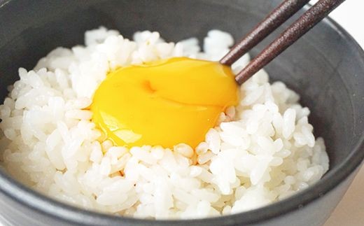 農場直送!岡崎おうはん卵(6個×4パック)【1093880】