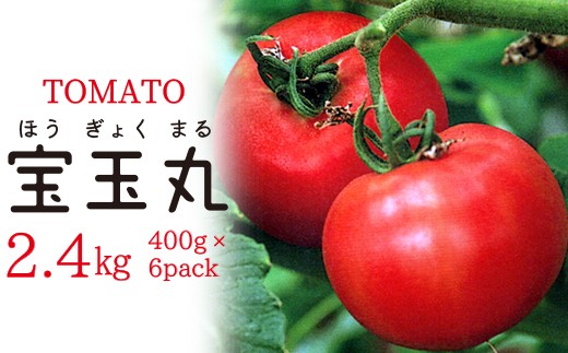 朝どり直送 高糖度トマト 宝玉丸 2 4kg 千葉県富津市 ふるさと納税 ふるさとチョイス
