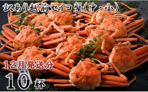 y䌧szydbAňSz󂠂䥂ŁzOZCRI(E) 10t y2025N12z [K-1601_12]