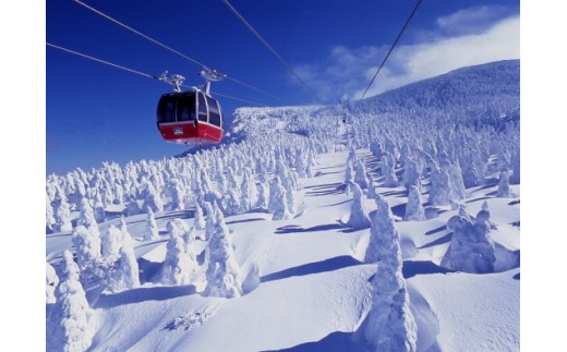 蔵王ロープウェイ乗車券(4区間券)引換券 FZ22-969 蔵王 旅行 山形 山形県 リフト ロープウエイ 樹氷 チケット - 山形県山形市｜ふるさとチョイス  - ふるさと納税サイト