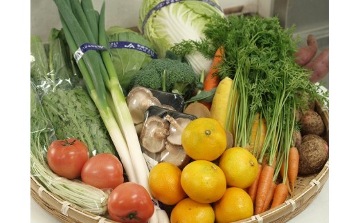 秦野産野菜イメージ