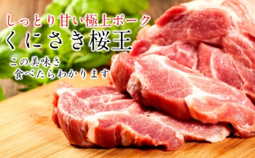 9309 美味しい豚肉 桜王 ロース ヒレ とんかつ用1 8kg 通 大分県国東市 ふるさと納税 ふるさとチョイス