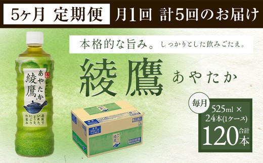 41-03 5ヵ月定期便 綾鷹 525ml PET 1ケース - 佐賀県鳥栖市｜ふるさと