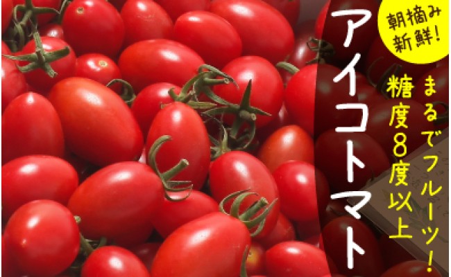 完熟ミニトマト アイコトマト 約3kg 長崎県南島原市 ふるさと納税