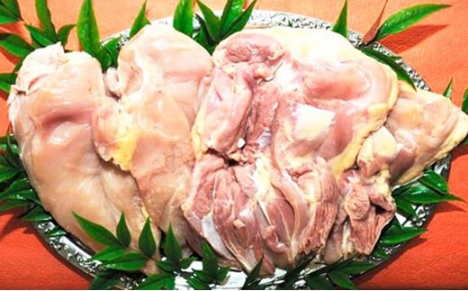 yÉaszyz`LzQElQtbVZbgy@Ƃz