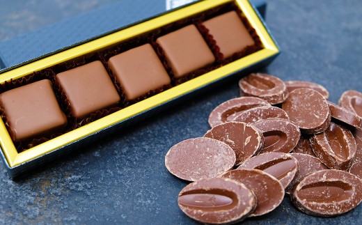 12ヵ月 定期便】チョコレート専門店のオリジナルボンボンショコラ