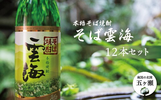 本格そば焼酎 そば雲海 12本セット | 飲料 酒 さけ お酒 おさけ アルコール 焼酎 そば焼酎 セット 宮崎県 五ヶ瀬町 -  宮崎県五ヶ瀬町｜ふるさとチョイス - ふるさと納税サイト