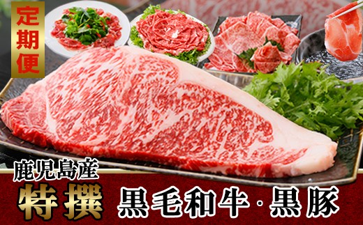 画像はイメージです