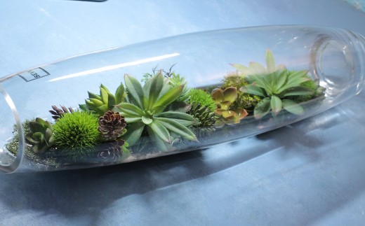 【空気をきれいにする】ガラスの中の植物 アートフラワー インテリア(大)