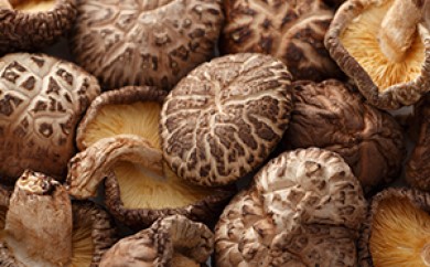 y{茧ˑz[5738-0024]@ǂ񂱁i200gj