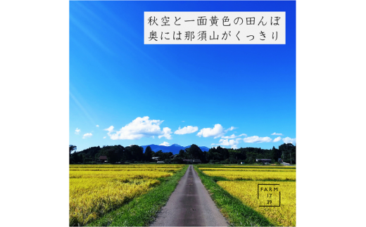 E 22 4ヶ月定期便 絶品 もっちり特別栽培米5 サクサクやみつきイナポン2袋セット 栃木県那須町 ふるさと納税 ふるさとチョイス