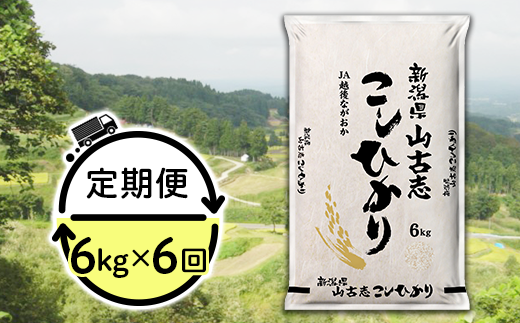 【6ヶ月連続お届け】新潟県長岡産コシヒカリ山古志地域棚田米6kg