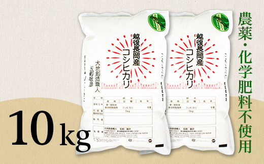 新潟県産米コシヒカリ10kg【令和元年産】
