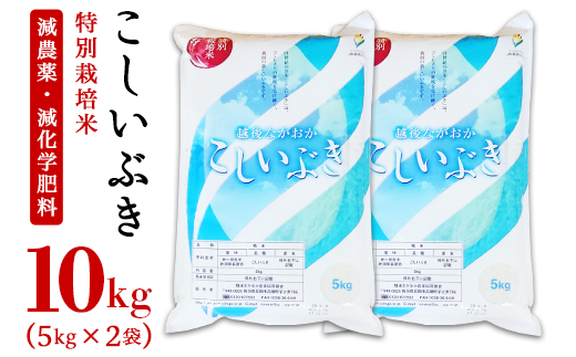 新潟県長岡産こしいぶき10kg(5kg×2袋)
