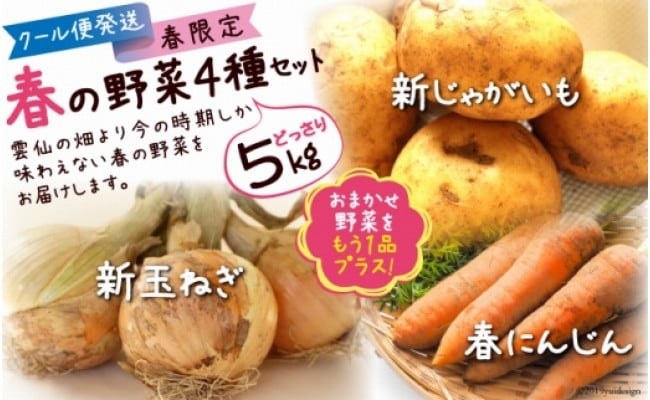 先行受付】【春の新野菜セット】新じゃがいも・新玉ねぎ・春人参の基本