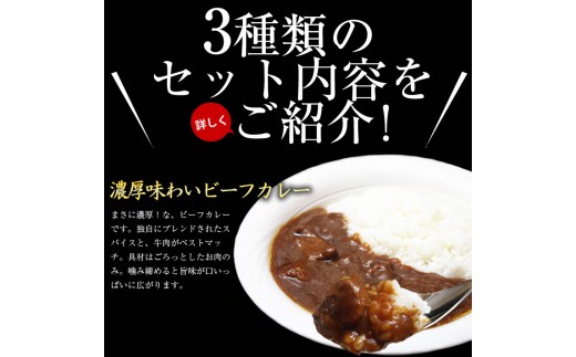 牧舎みねむら 信州和牛ジャーキー ソーセージ カレーセット 長野県東御市 ふるさと納税 ふるさとチョイス